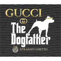 Brand Catalog-ZX 189